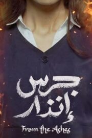 جرس انذارZ