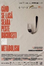 Bükreş’te Gece Çöktüğünde ya da Metabolizma